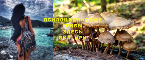 первитин Медногорск