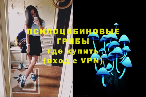 первитин Медногорск